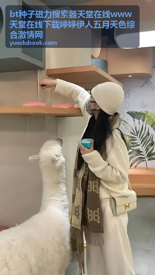 bt种子磁力搜索器天堂在线 - 3A大作游戏破解版合集